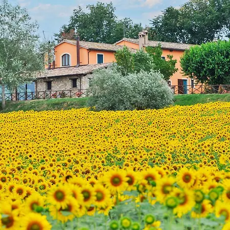 1 Bedroom In Frazione *